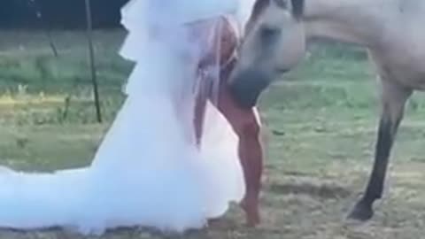 I have naver seen anything like this before 🤩😍/funny video