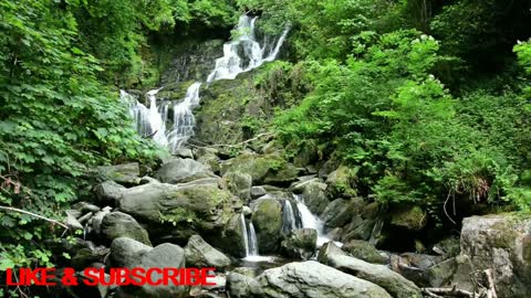 Relaxing Zen Music with Water Sounds • Peaceful Ambience for Spa