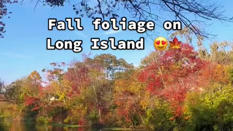 Fall foliageonLong Island