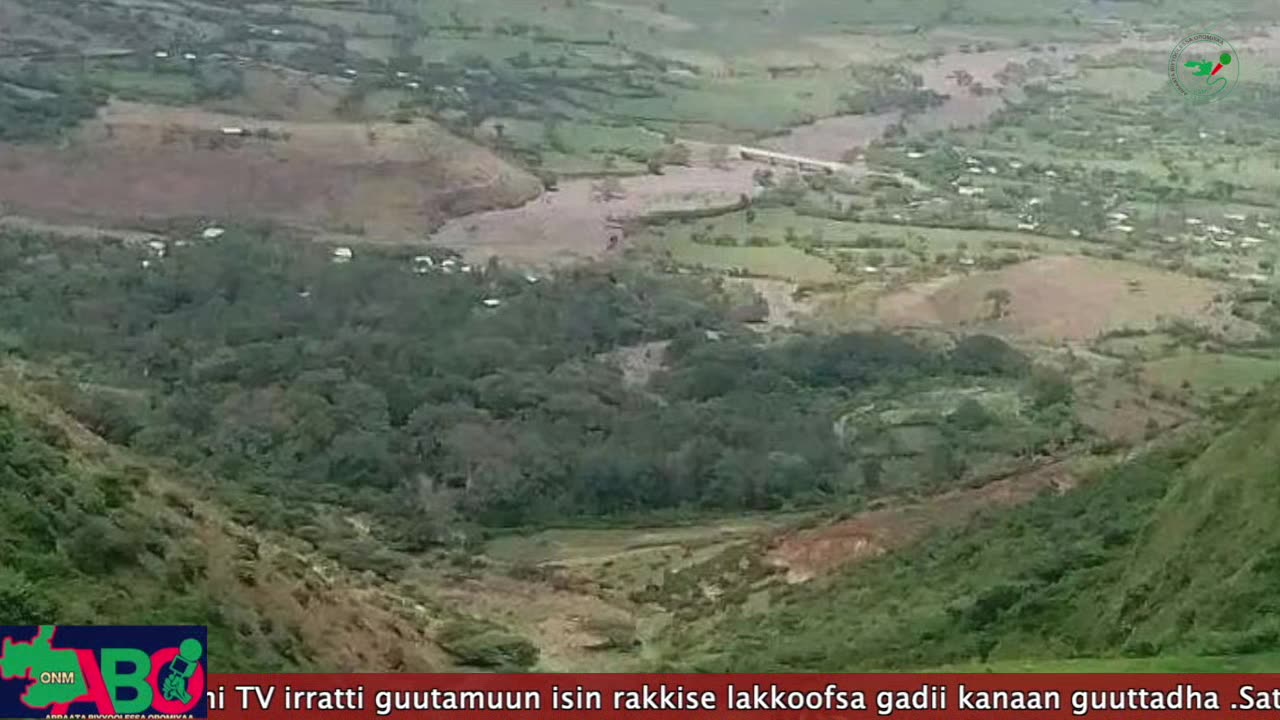 Oduu Waaree ONM-ABO Sadaasa 1-2024 itti dhiyaadhaa!