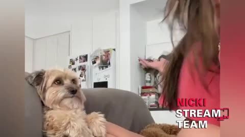 Lol thus dog like what is she saying