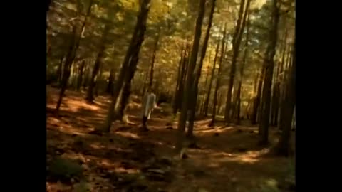 Simple minds: Alive and Kick'n'