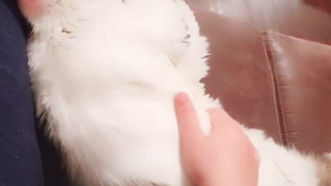 Pumbu Sleeping