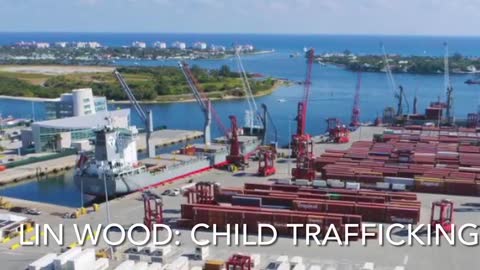 Lin Wood- FIX 2020 OR BUST