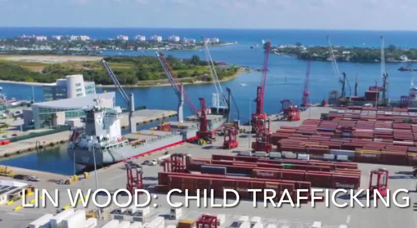 Lin Wood- FIX 2020 OR BUST