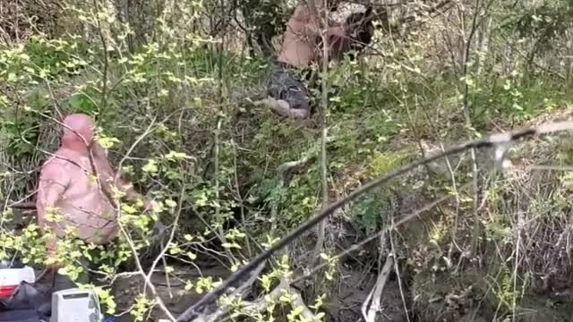 Men Save Baby Moose From Drowning