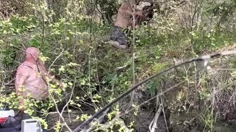 Men Save Baby Moose From Drowning