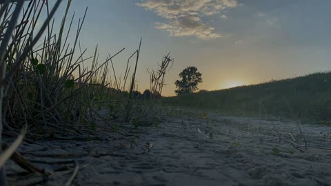 St. Fungustine Part Deux