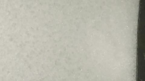 Polypropylene