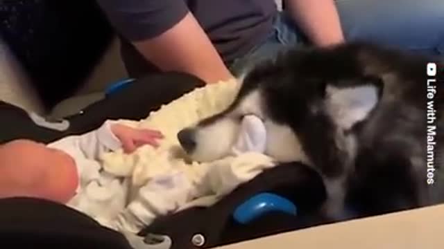 Meeting new born for first time