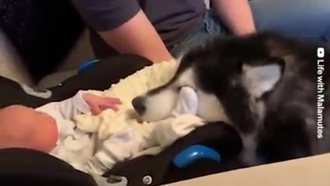 Meeting new born for first time