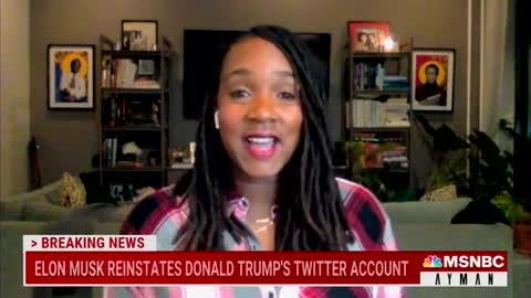 MSNBC Panelist Melts Down at Elon Musk for Reinstating Trump
