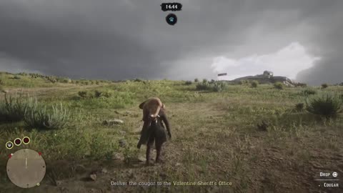Red Dead Online FreeRoam #2