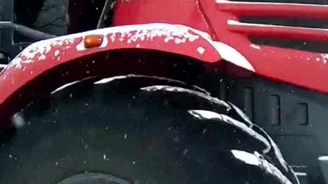 Rides on cheesecake