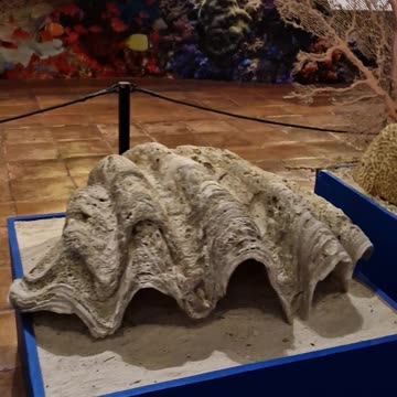 The National Museum of the Philippines – Zamboanga is the historic Fort Pilar