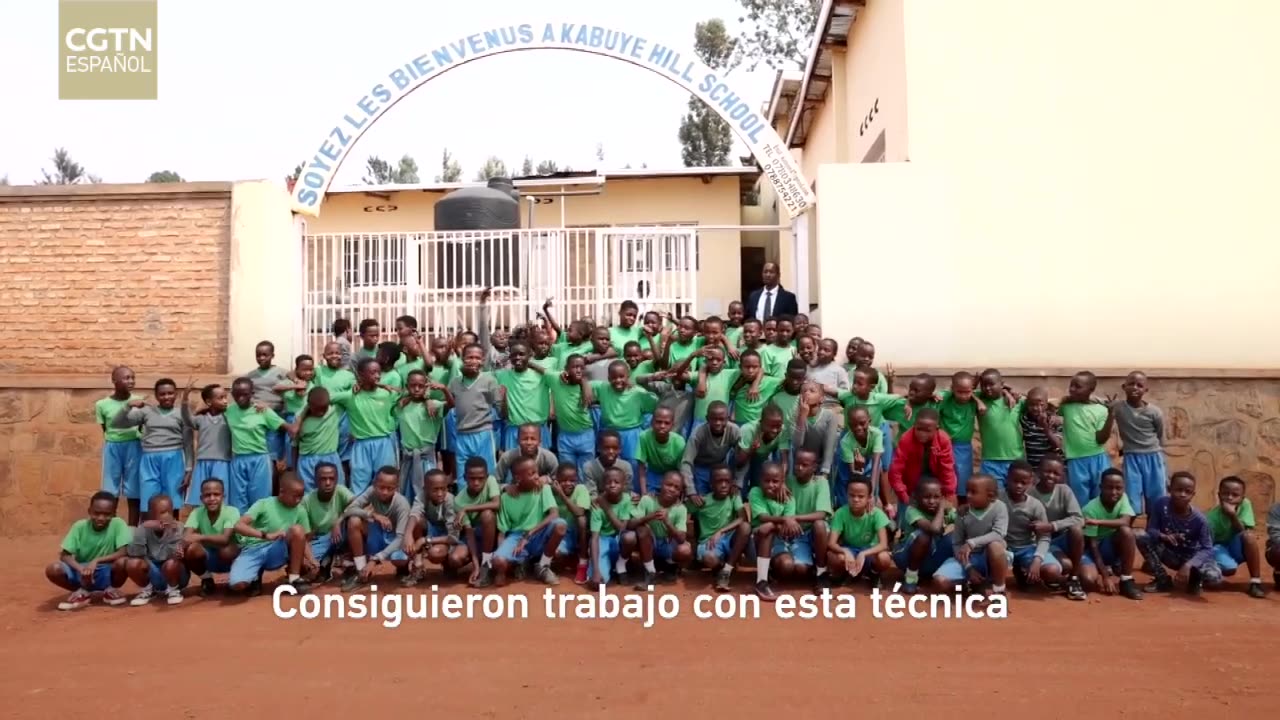 La prueba de la cooperación: el viaje transoceánico de una "planta feliz"