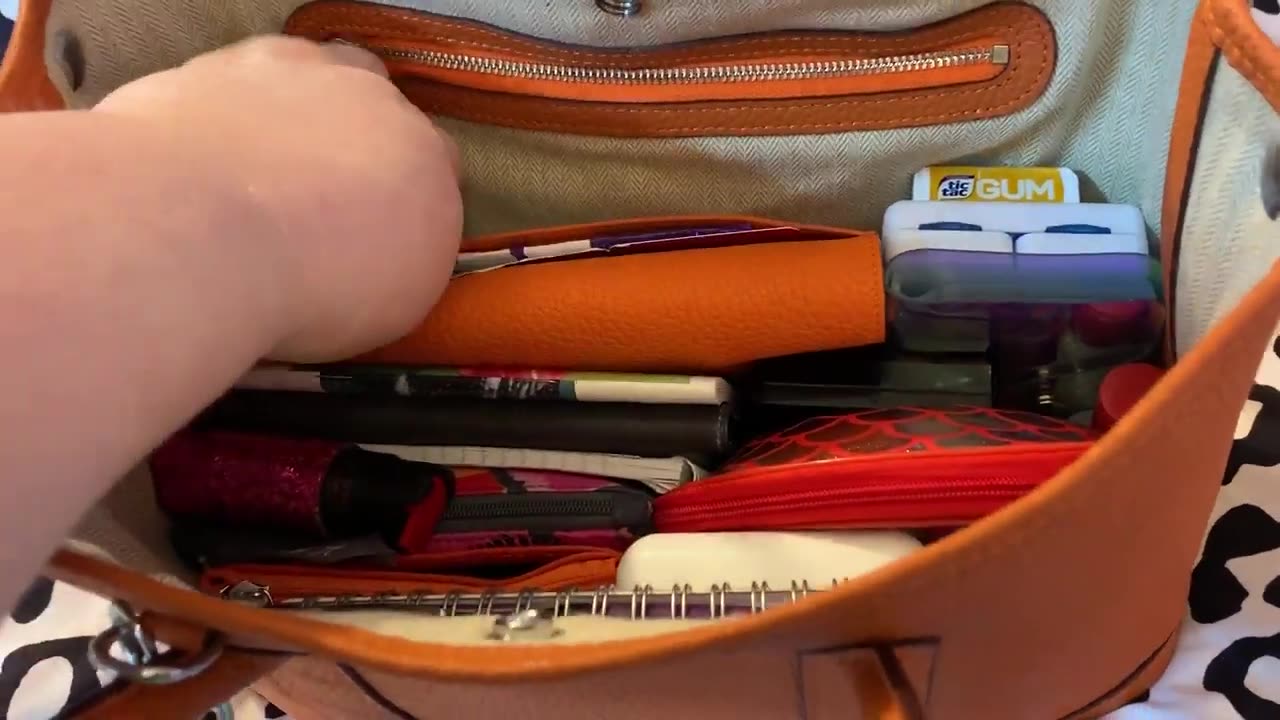What's in my LUCKYSGY Orange Bag & Wallet.