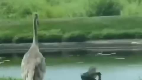 Try Not To Laughh🤣🤣🤣