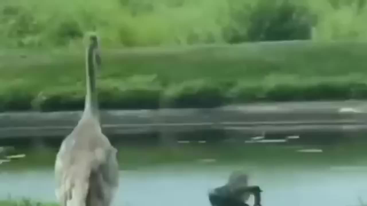 Try Not To Laughh🤣🤣🤣