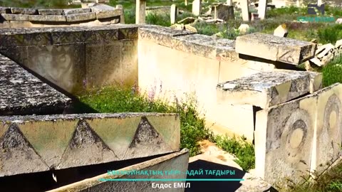 A herd of kokmoynak The fate of Adai