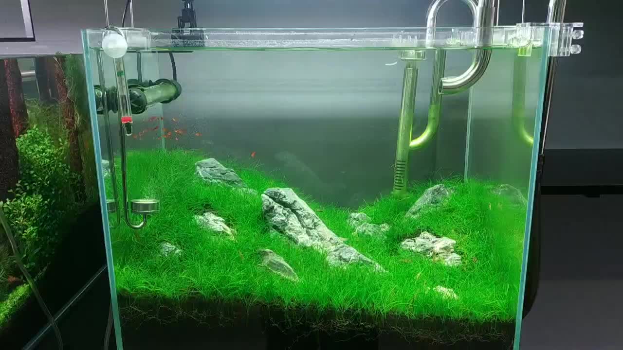 Water and land tank landscape works appreciation(4)