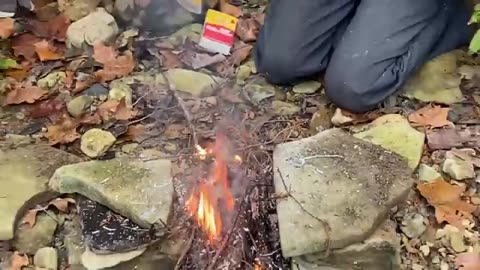 Episode 4：Making Sumac Tea @ Henson Creek School of Country Living | Titus Morris | 09.25.23