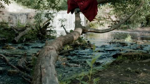 Calm monk meditates in nature