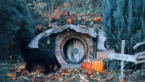 Welcome to the Shire