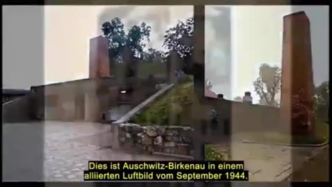 ``Cole in Auschwitz``wersja polska