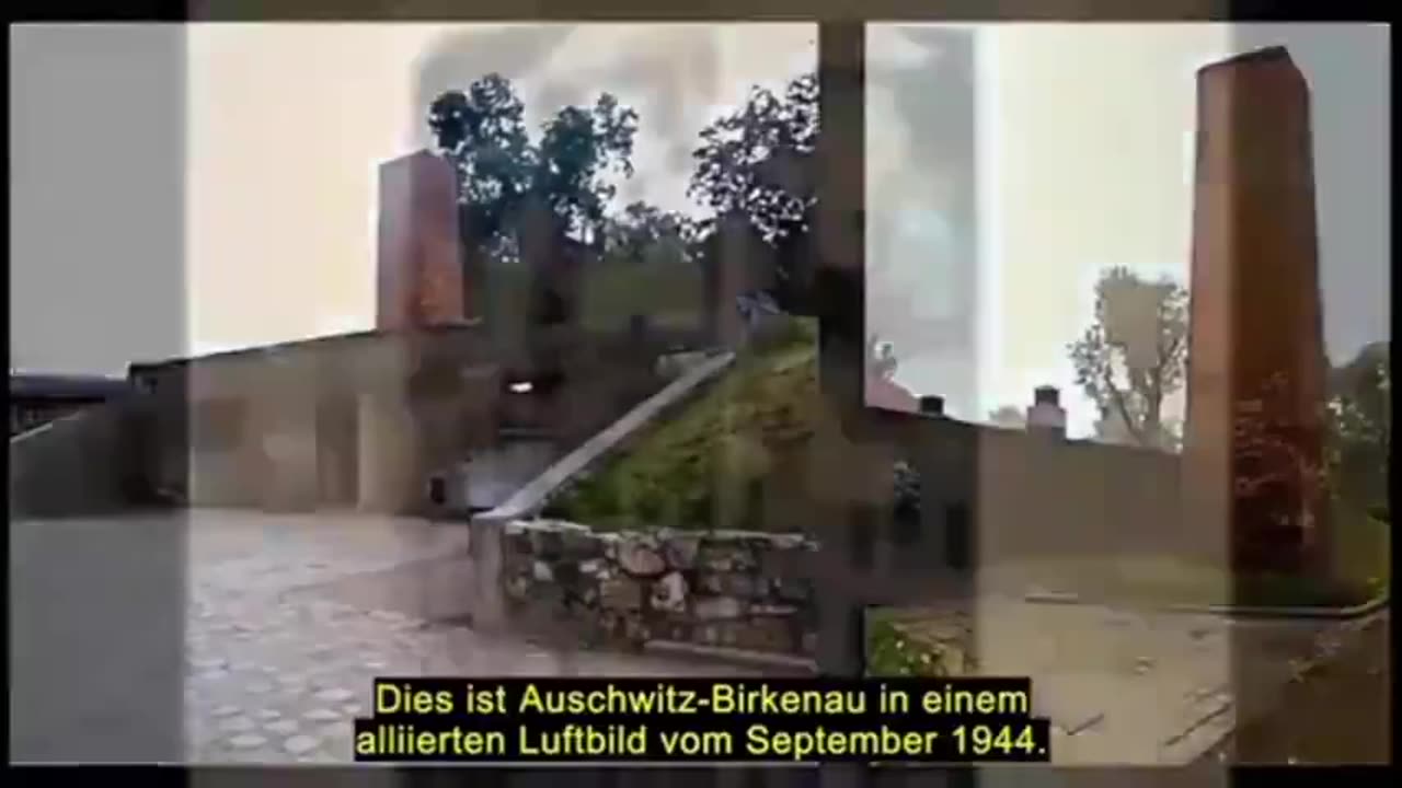 ``Cole in Auschwitz``wersja polska