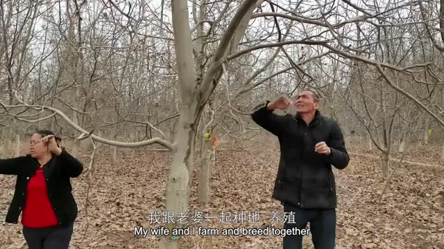 You Are Not Allowed to Damage the Reputation of Our Beautiful Xinjiang