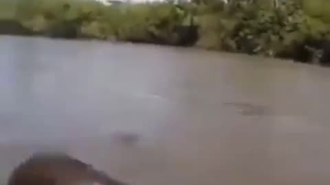 Movie Anaconda IRL