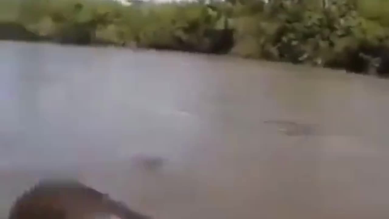 Movie Anaconda IRL