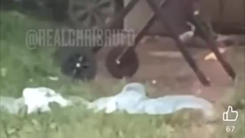 Ohio cats on the Barbie for the hungry third world invaders "our" government let in, subsidize