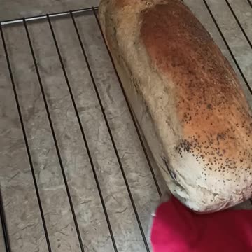 Homemade bread with poppy