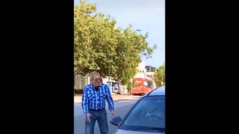 Most funniest cats and dogs video