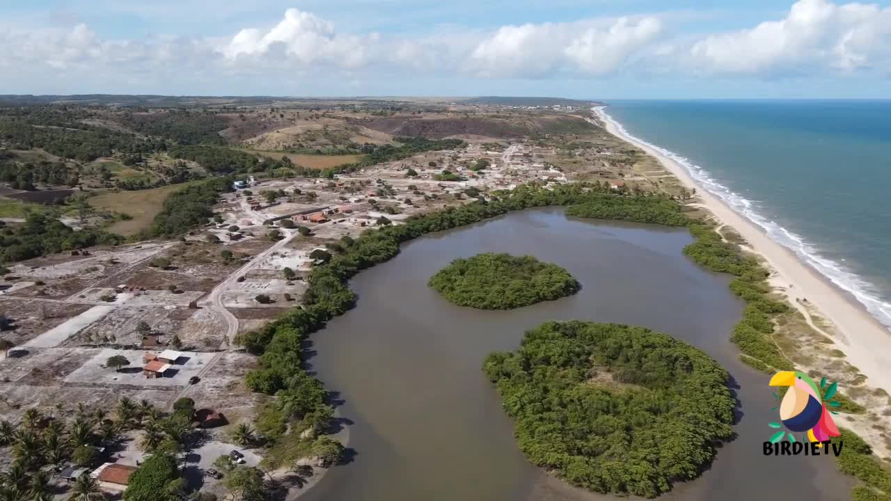 Brazilian Beach | Barra do Abiaí Beach - Pitimbu - Paraiba - Brazil