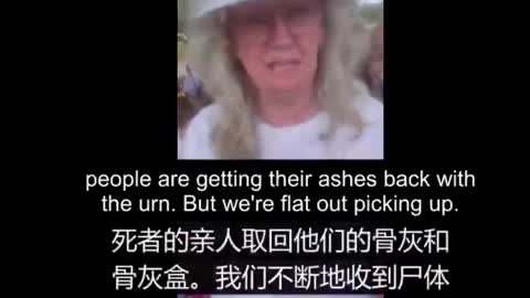 澳大利亞殯儀館主任揭示了疫苗造成的大量死亡嬰兒死亡，年輕人，心臟病，中風，血栓。