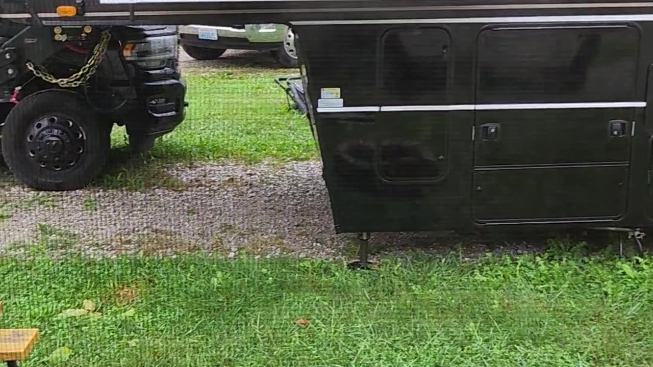 Flock it Farm: made it through the Hurricaine to Kentucky