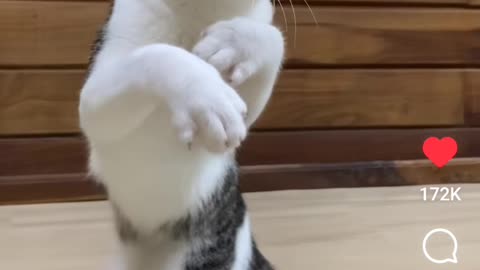 It's Training Season