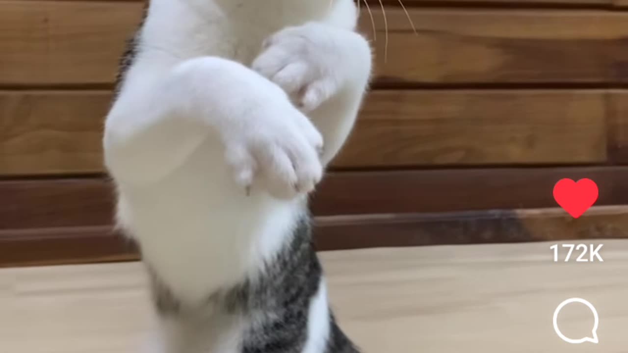 It's Training Season