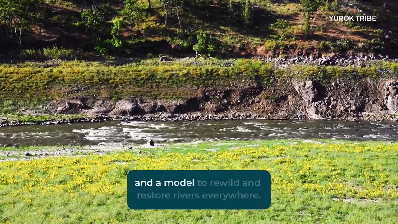 Did you know last month marked the largest dam removal in U.S. history?