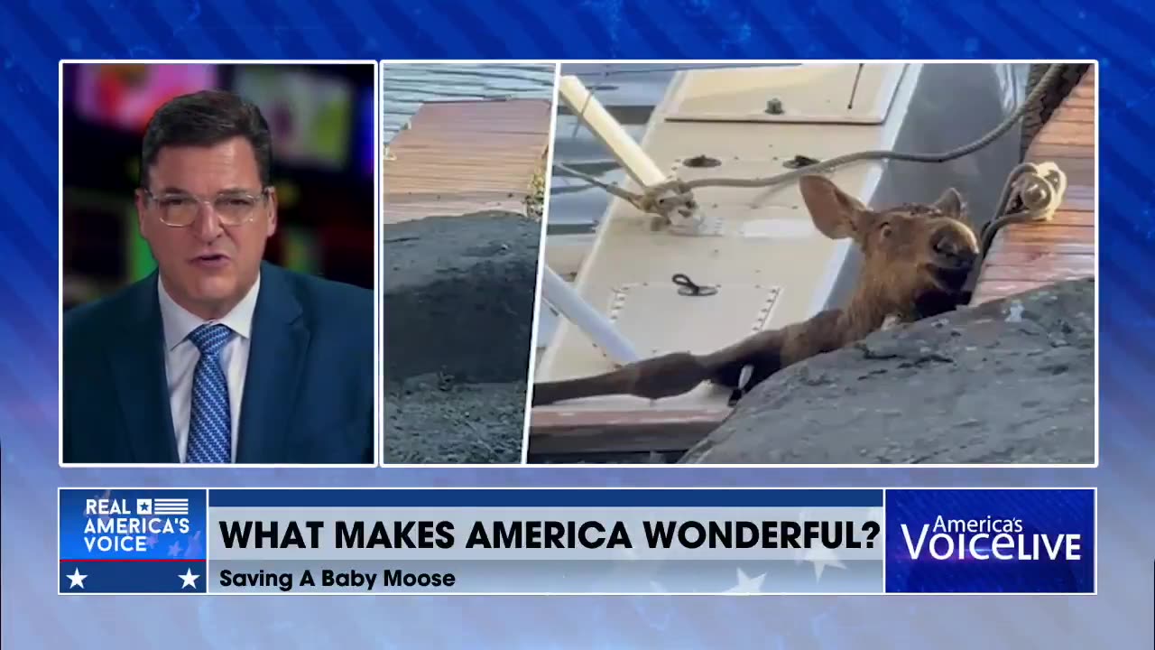 What Makes America Wonderful?🫎👮‍♂️