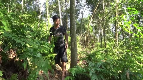 #Sea#Fishing#River#Fish Live Alone Catch Many Fish From Wild Ponds Cook Fish Wild Primitive Fishing