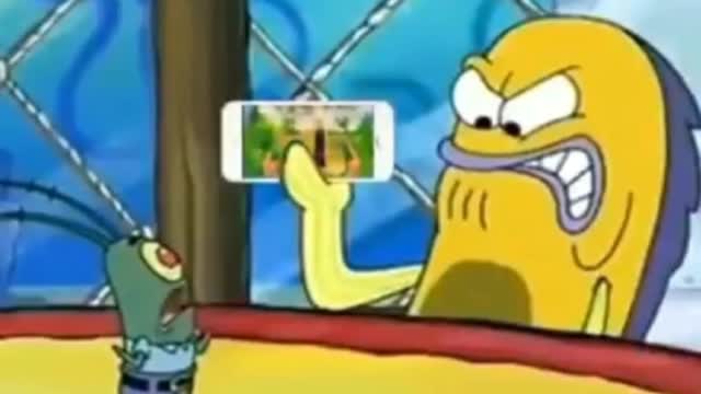 funny cat cartoon video