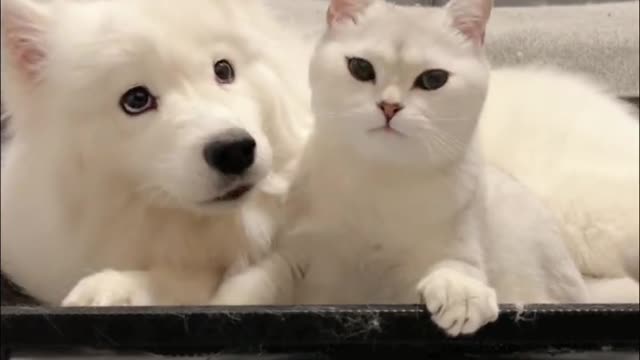 Oops, the two of them are starting to show affection