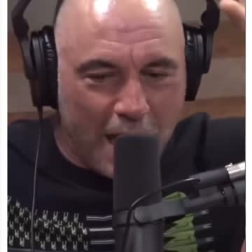 I WANT TO KNOW MORE ABOUT MUSHROOMS!