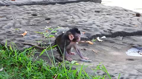 Brinn not allow Ginger Take Branda