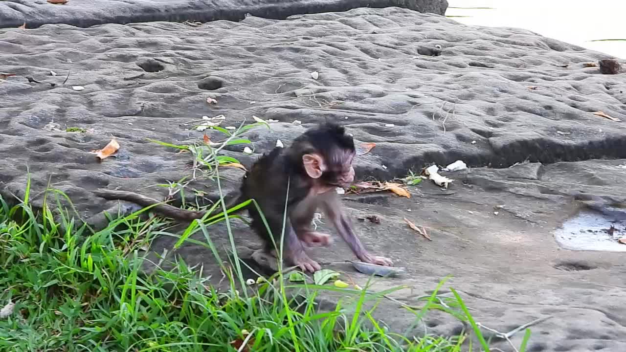 Brinn not allow Ginger Take Branda