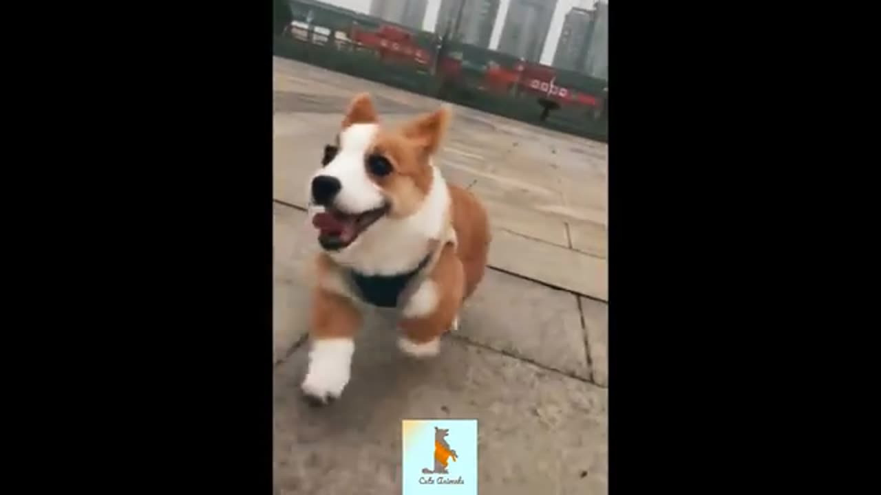 you want some excitement, look no further.